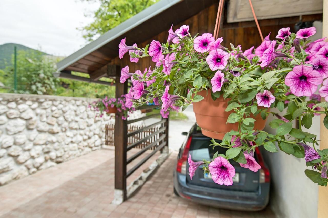 Apartments Katja Bohinj Dış mekan fotoğraf